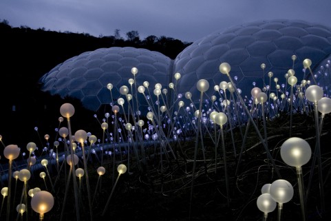 brucemunro