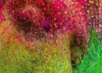 Pipilotti Rist