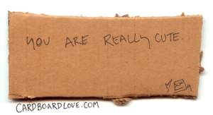 cardboard